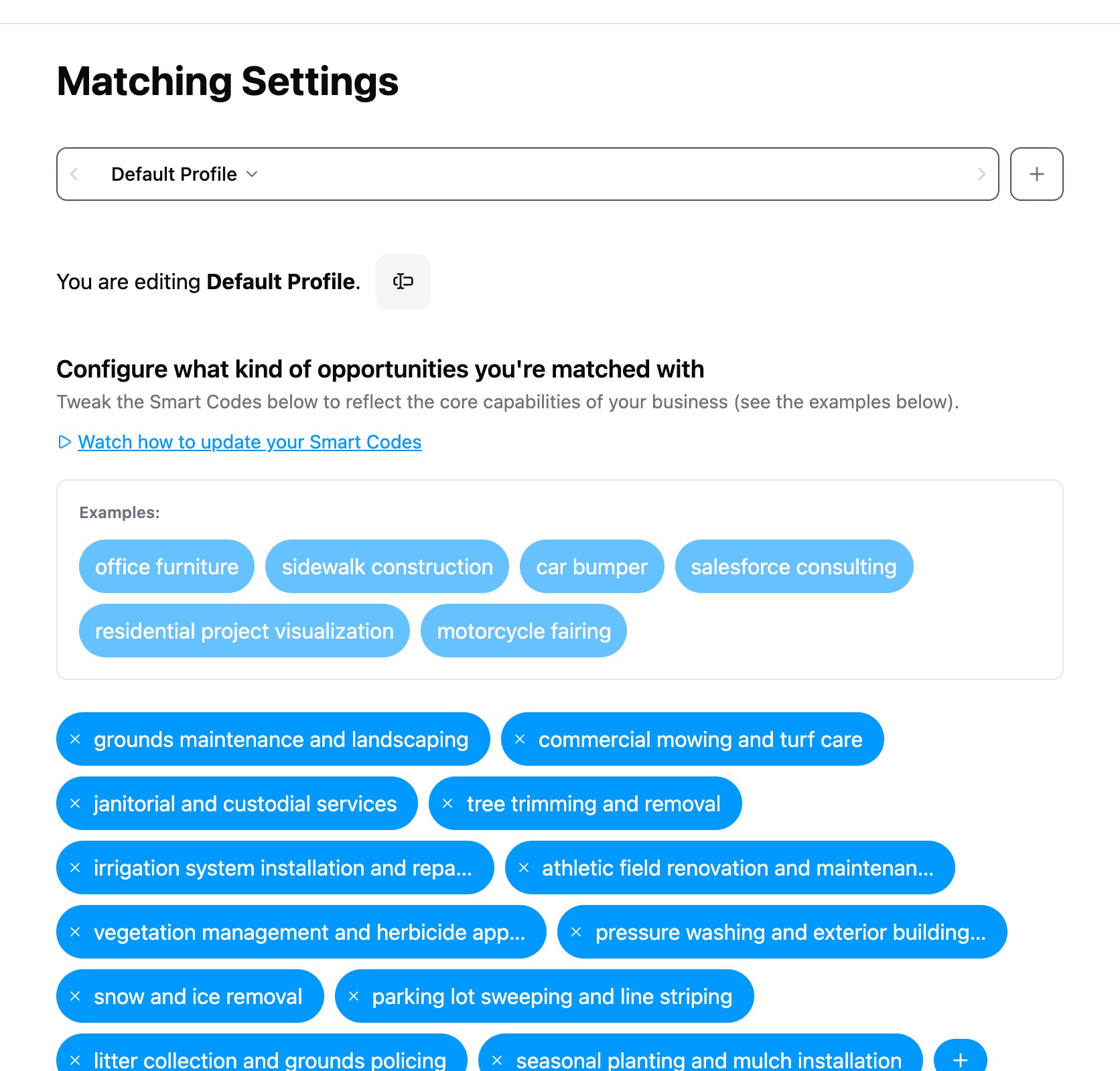 Smart Codes in a Matching Profile: the plain-language capabilities Bidscope scores each signal against
